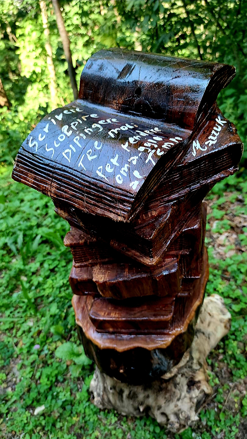 The wisdom of the forest