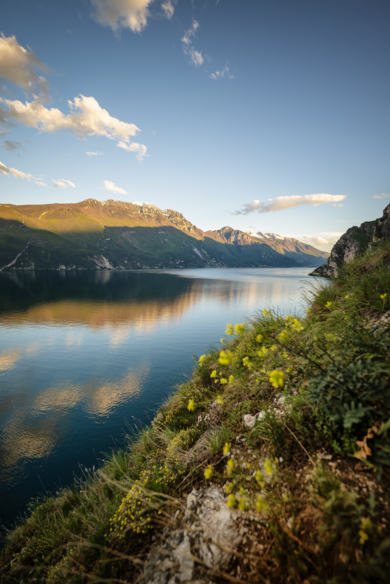 Una tavolozza di colore.