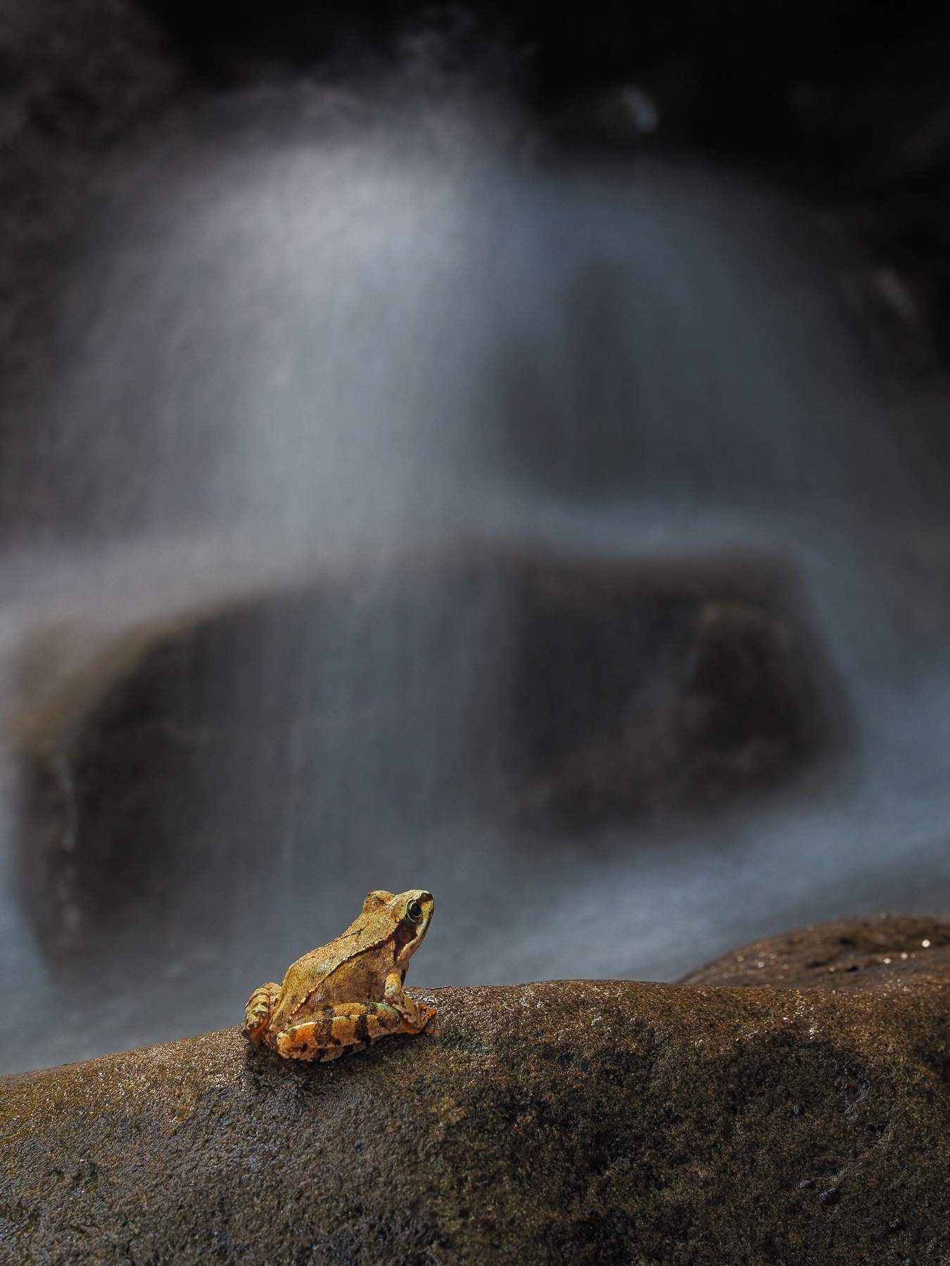 Una cascata di freschezza