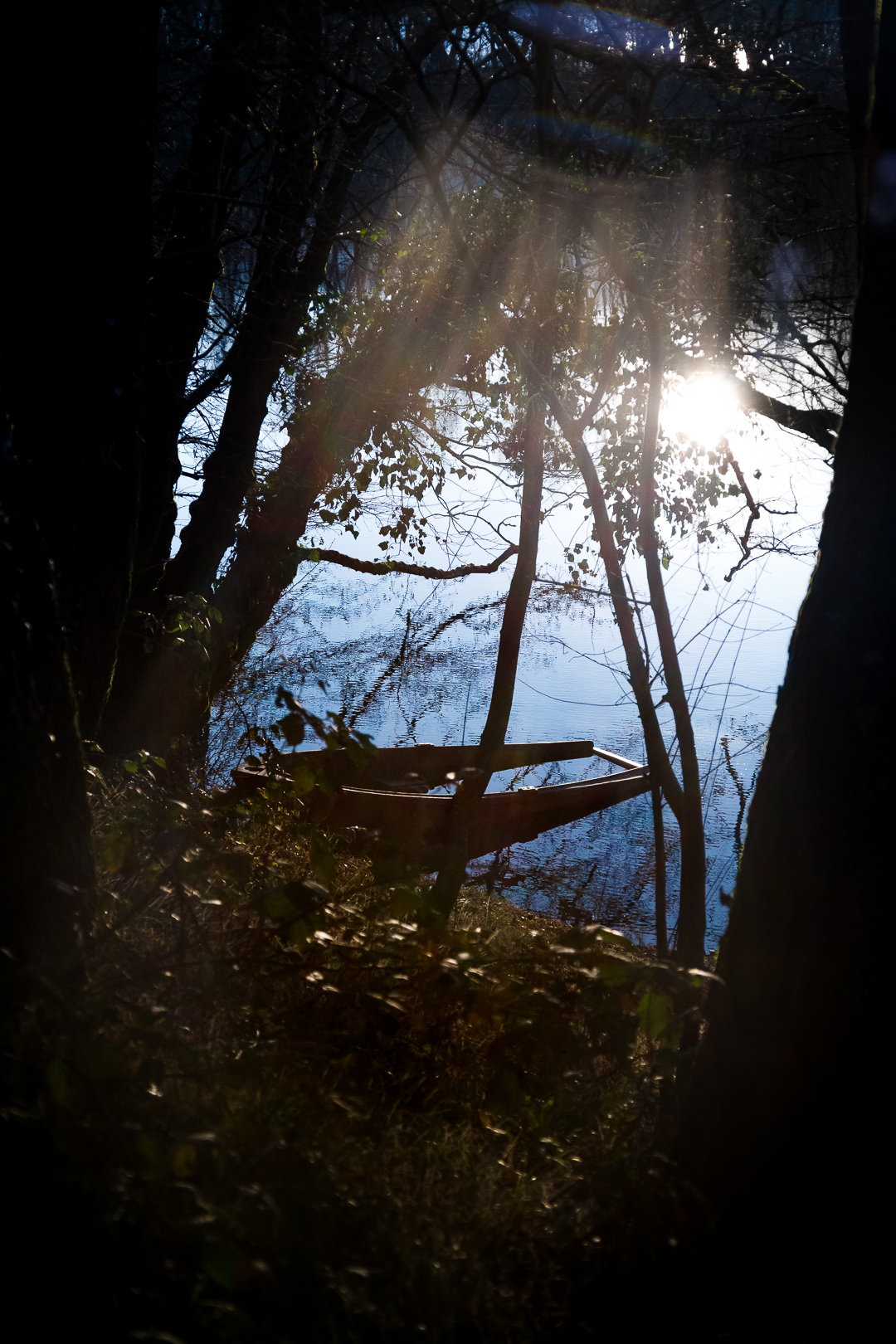 Canon 5D - 50mm FD - Colore