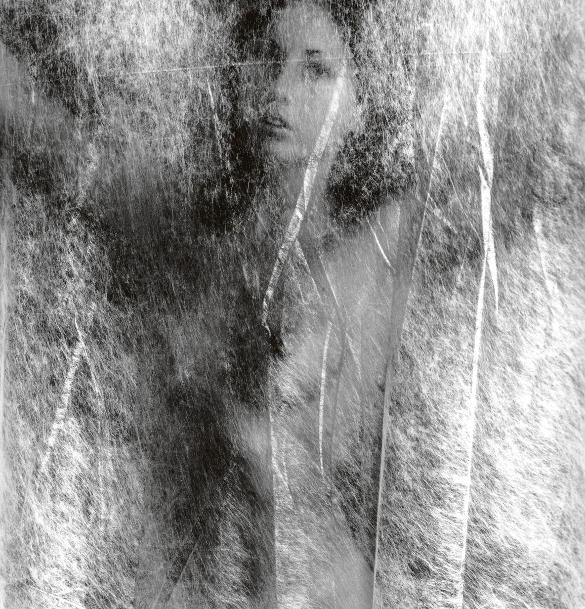 Donna velata