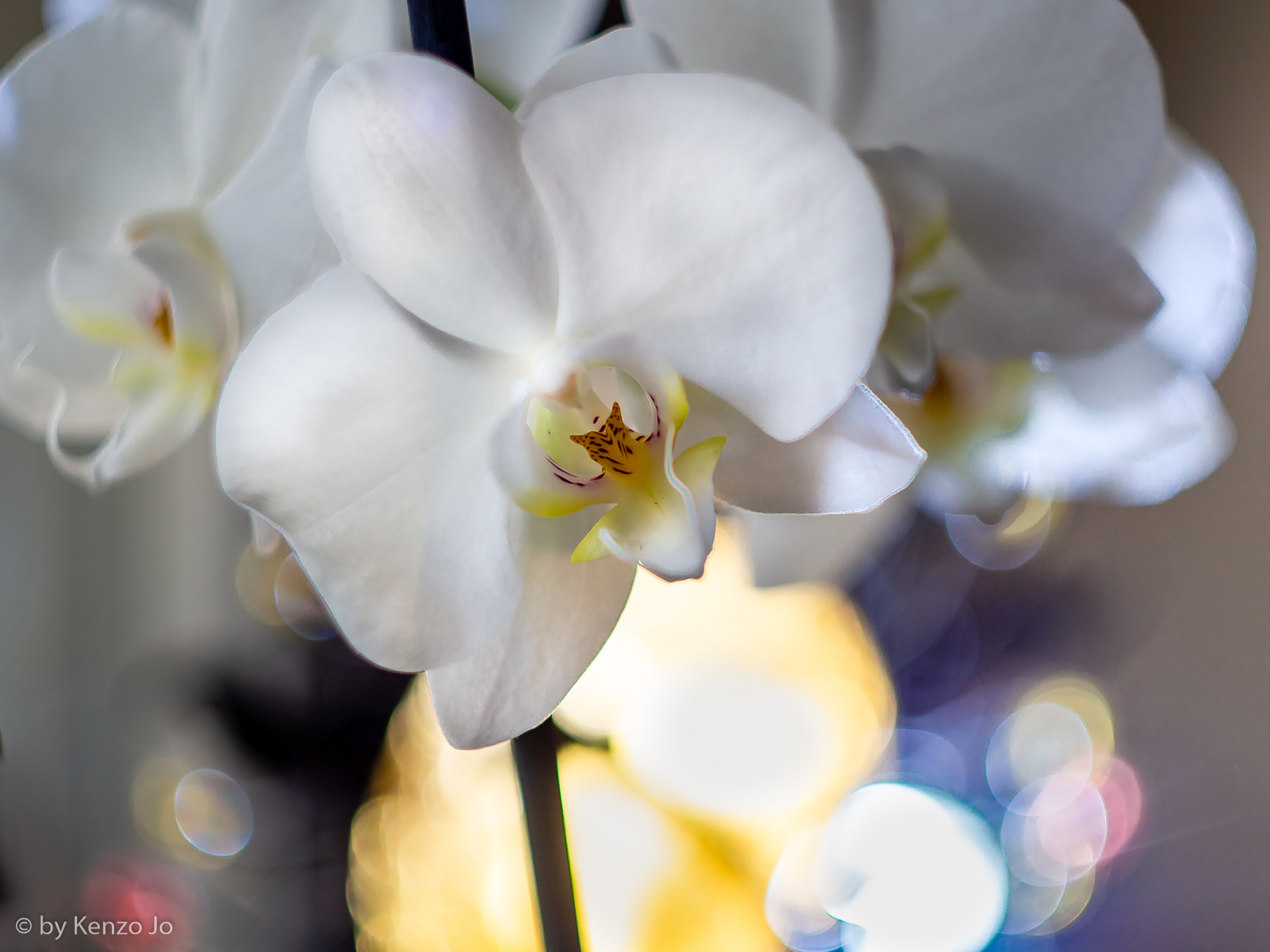 Aliens landed on our polluted planet...