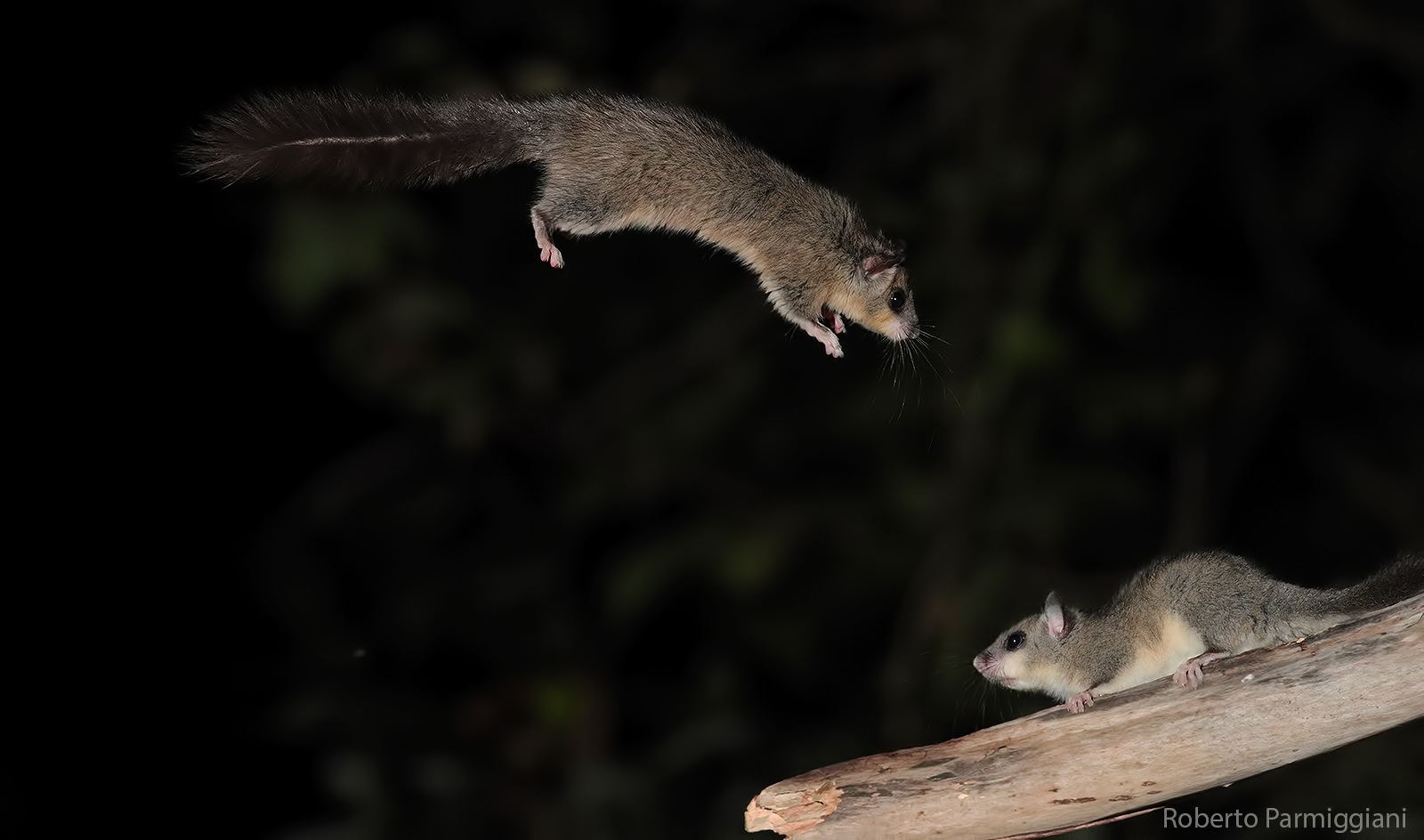 Giochi nelle tenebre