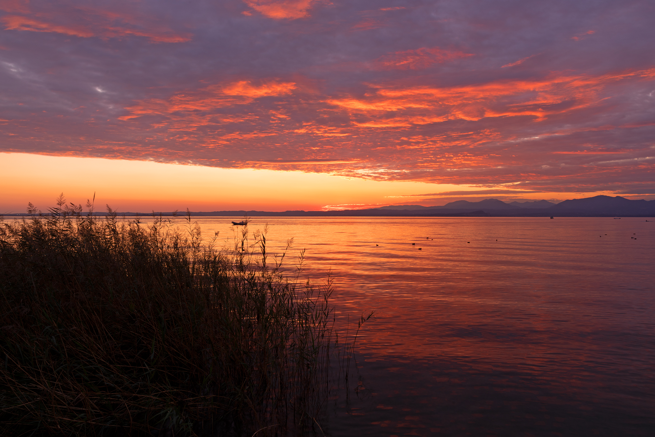 Oltre il canneto - Cisano di Bardolino