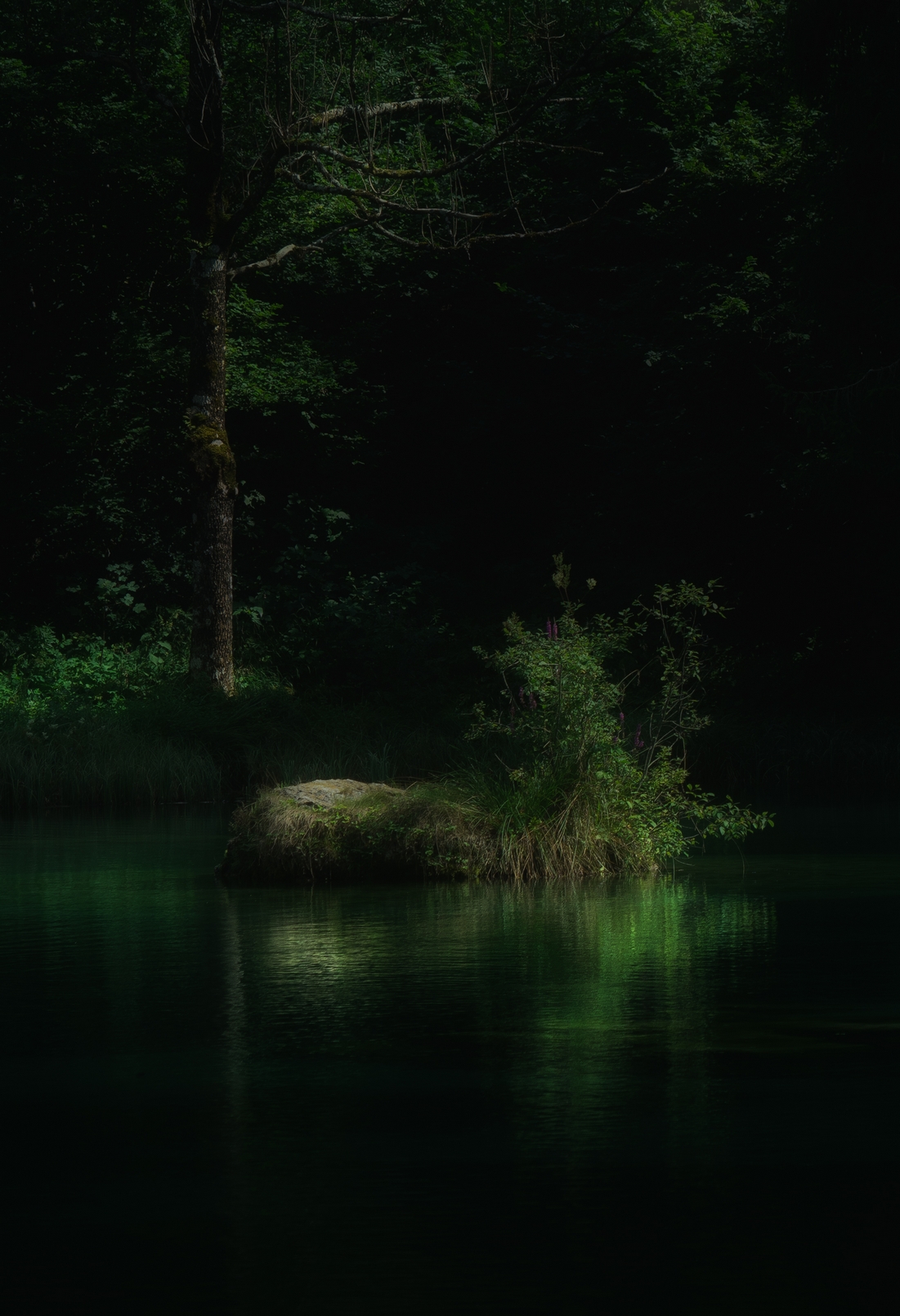 Between lights and shadows