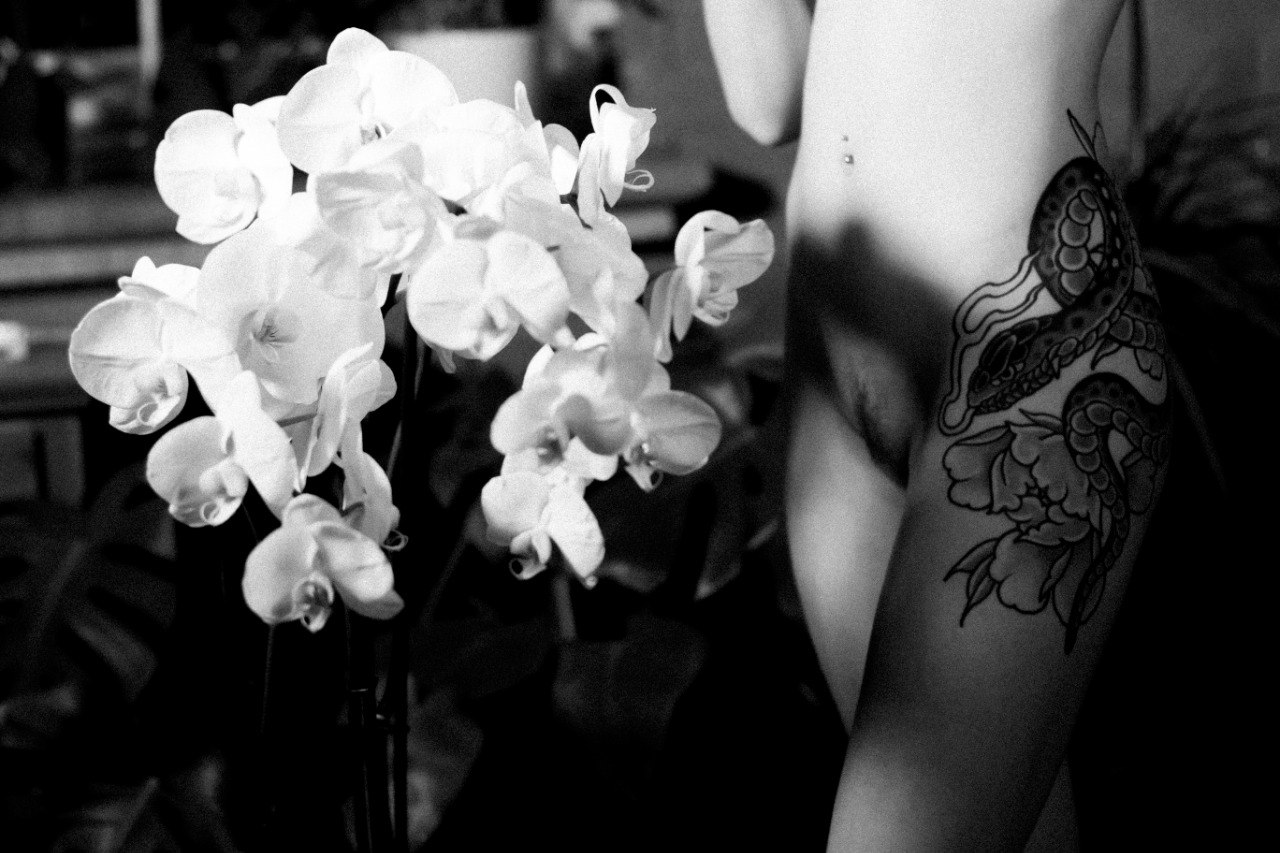 Orchidee