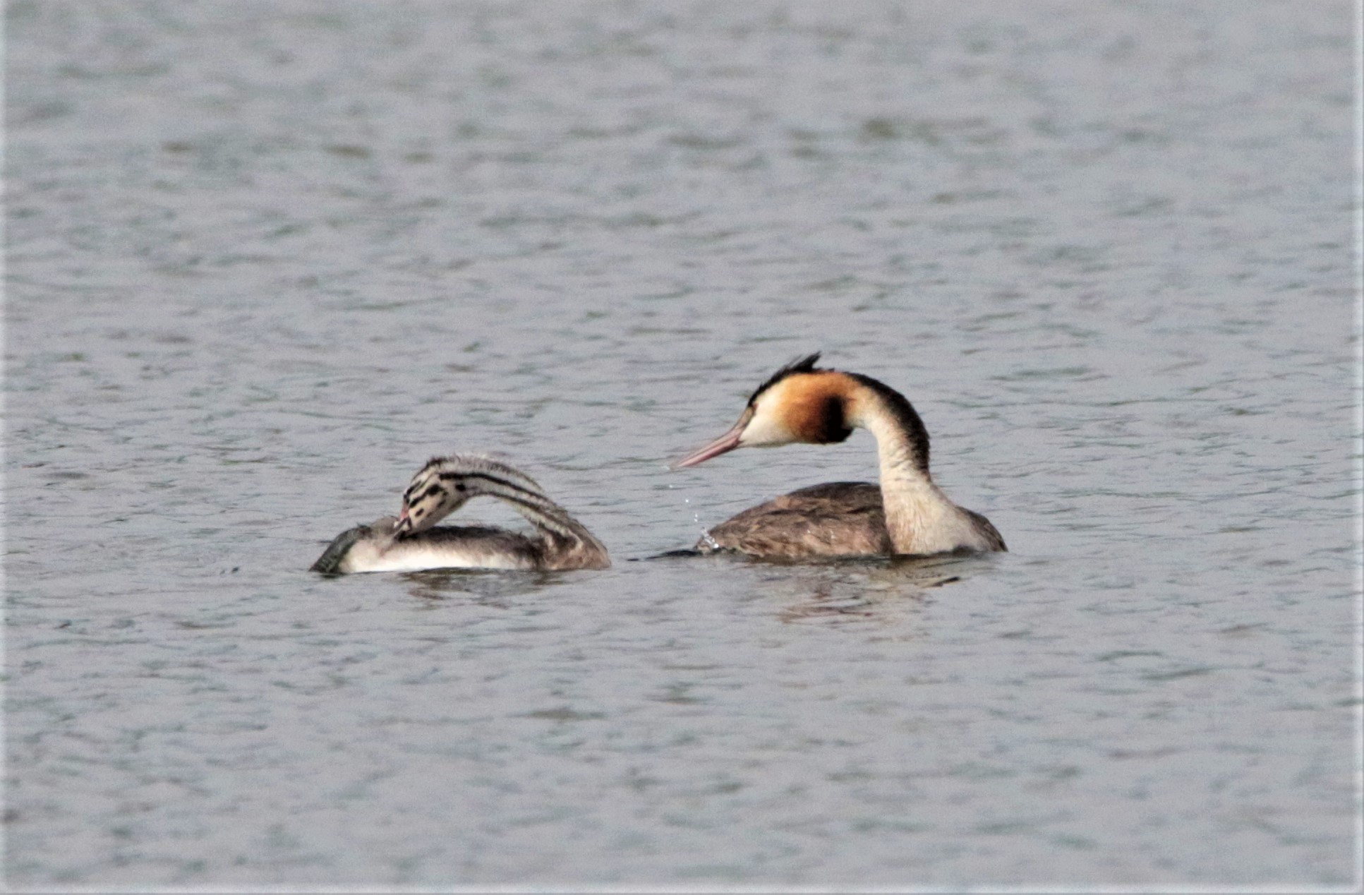 stretching mattutino!