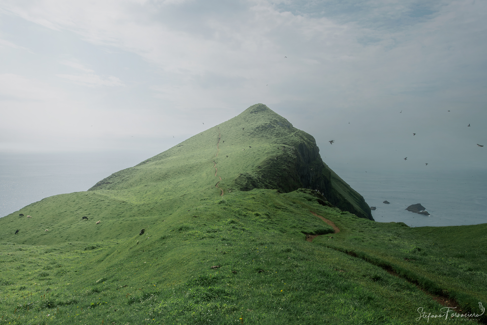 Le Verdi Distese di Mykines