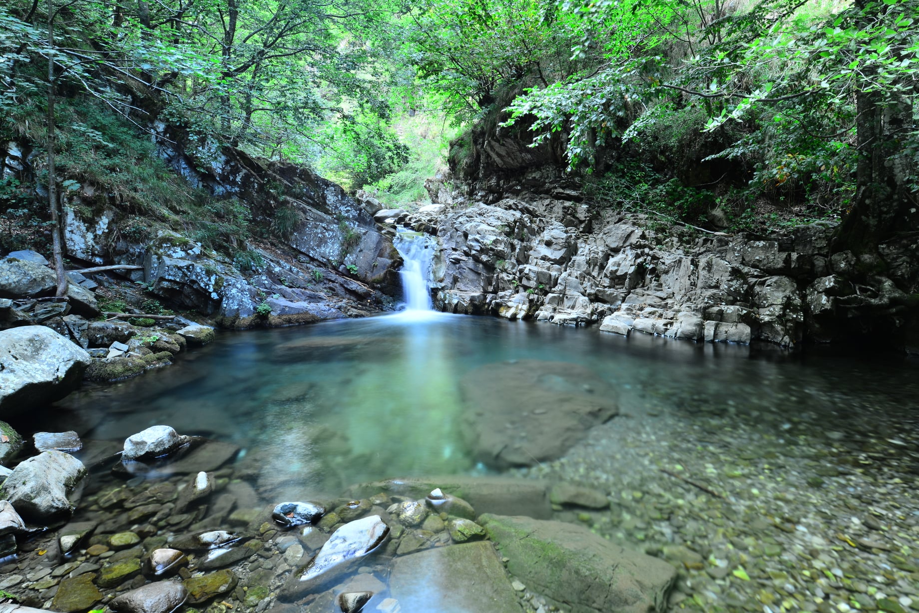 Cedra Stream