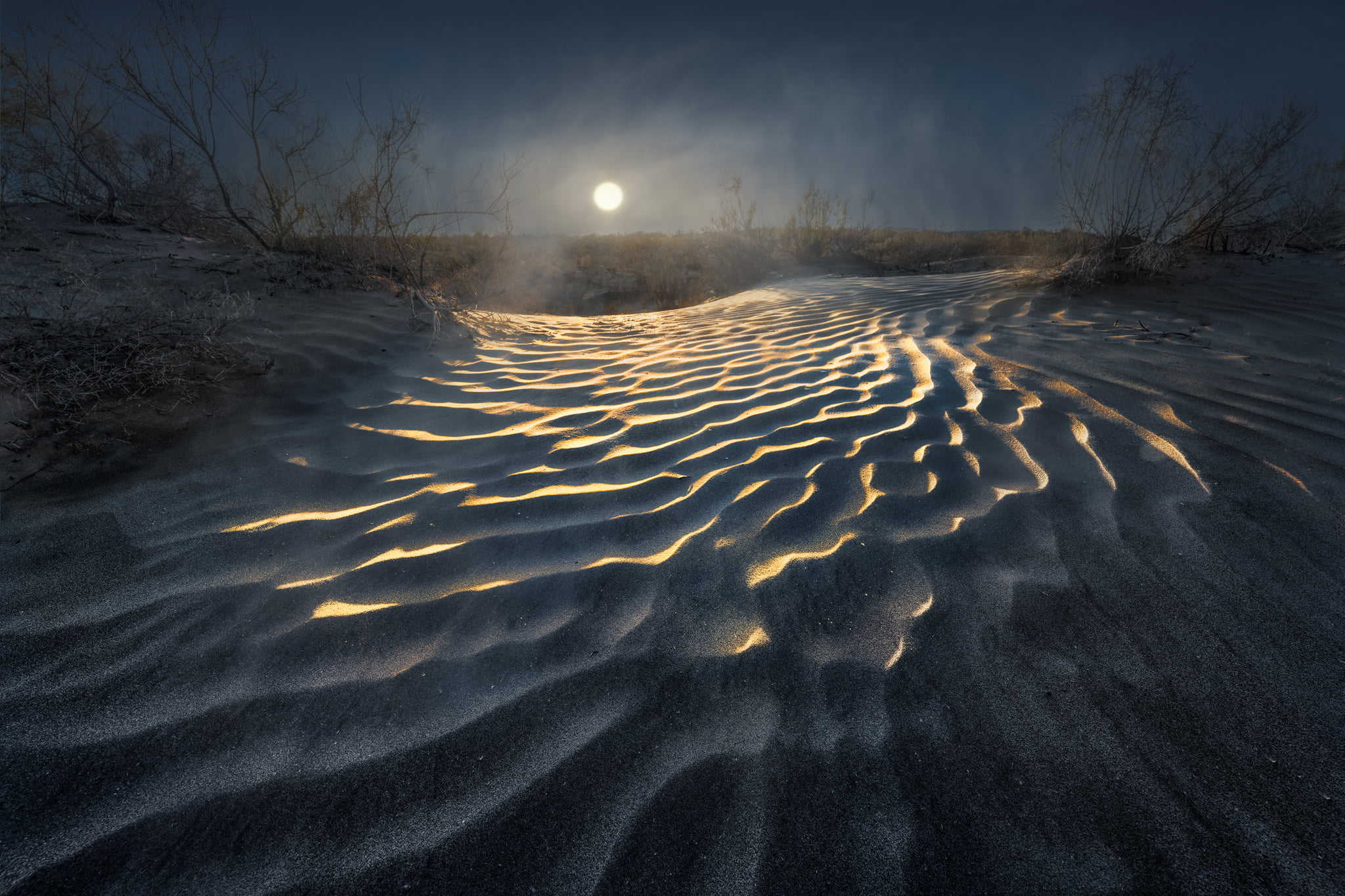 Un deserto di polvere