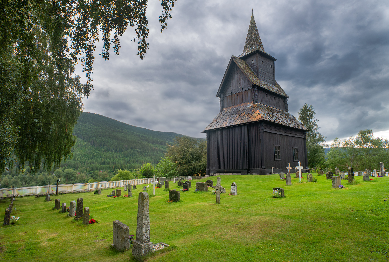Norvegia