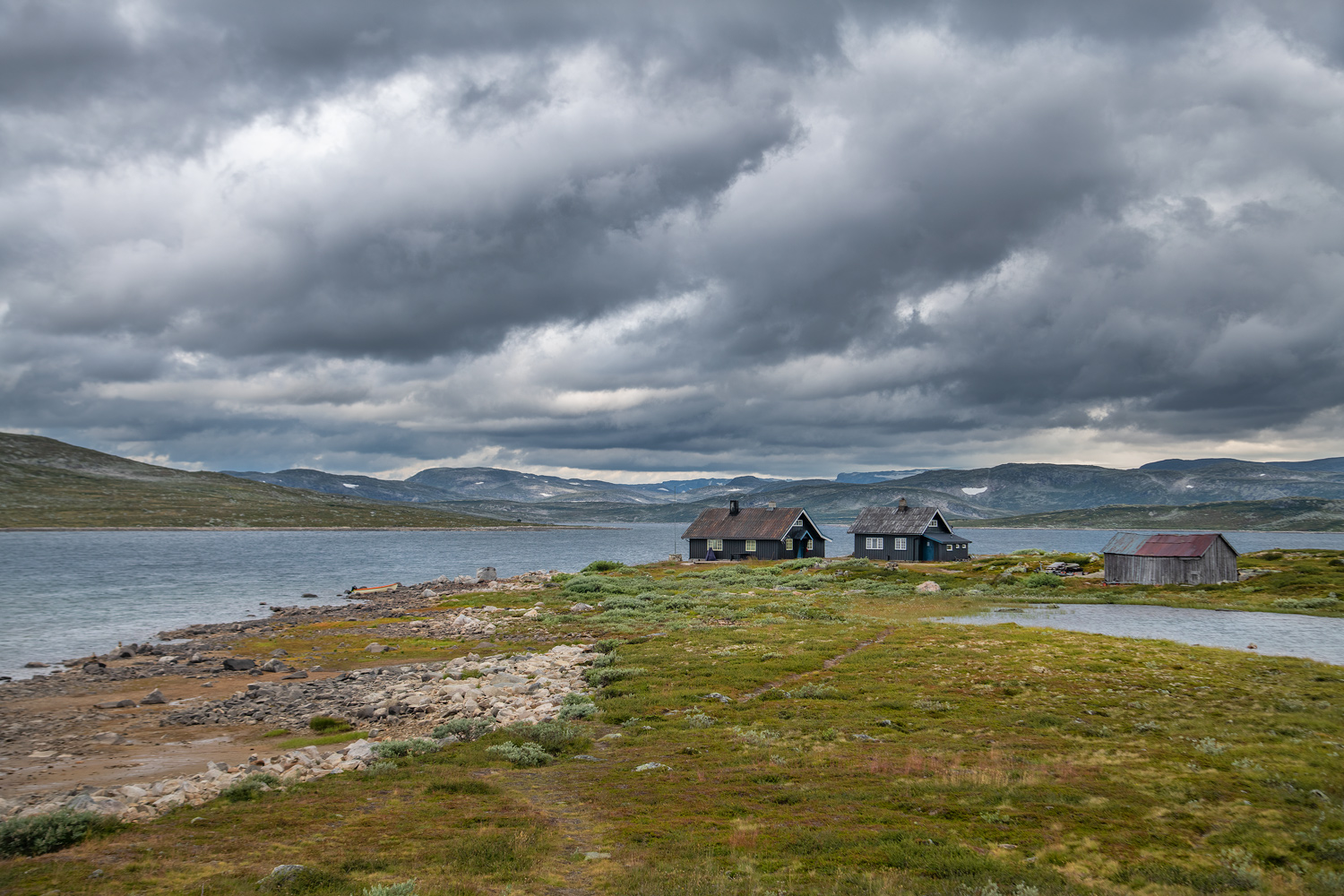 Norvegia