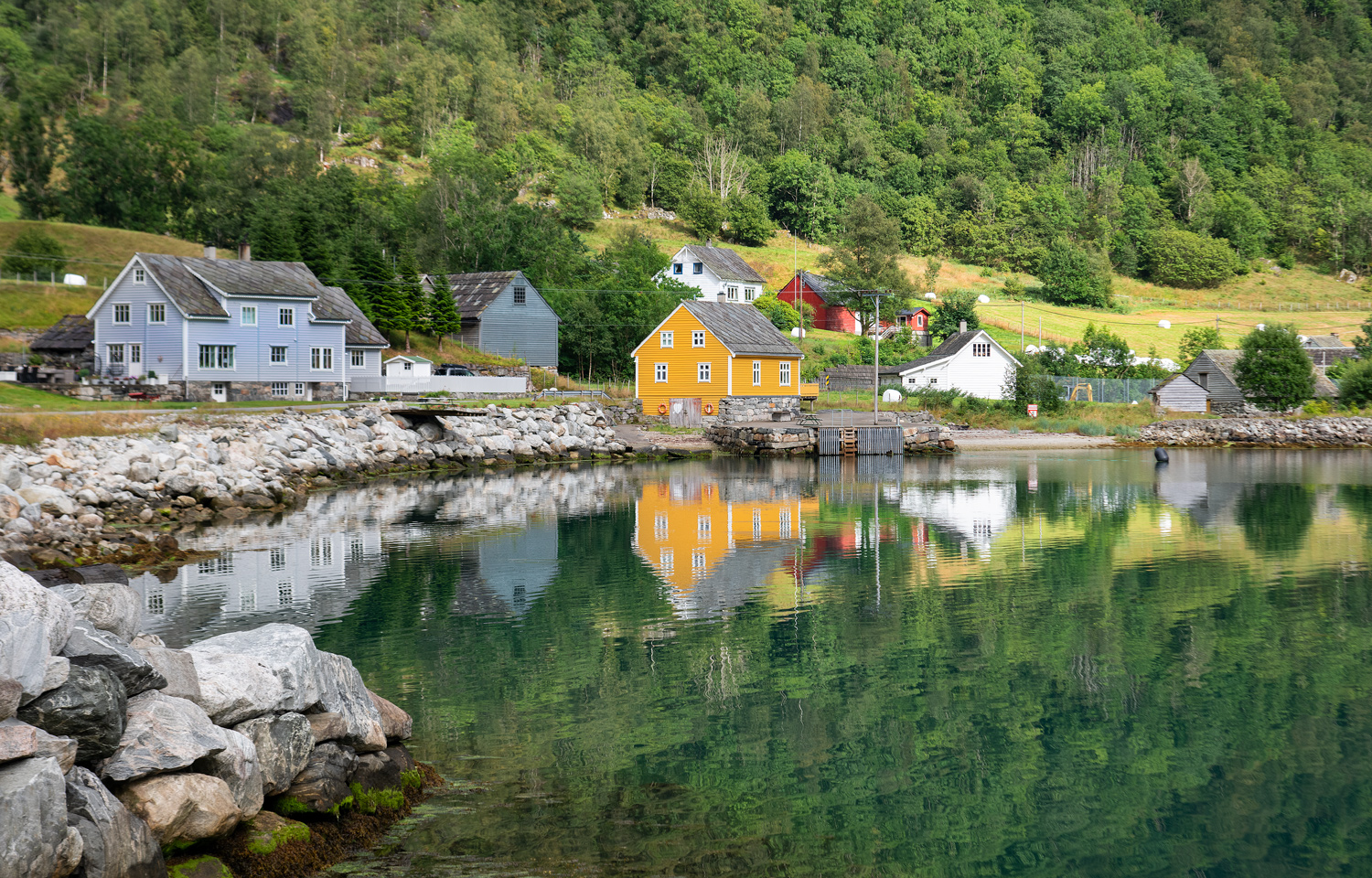 Norvegia