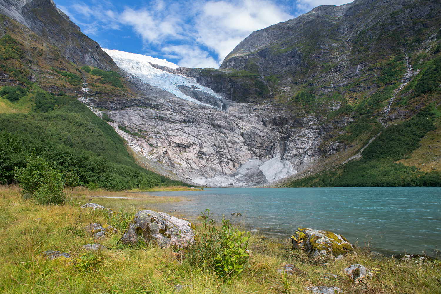 Norvegia