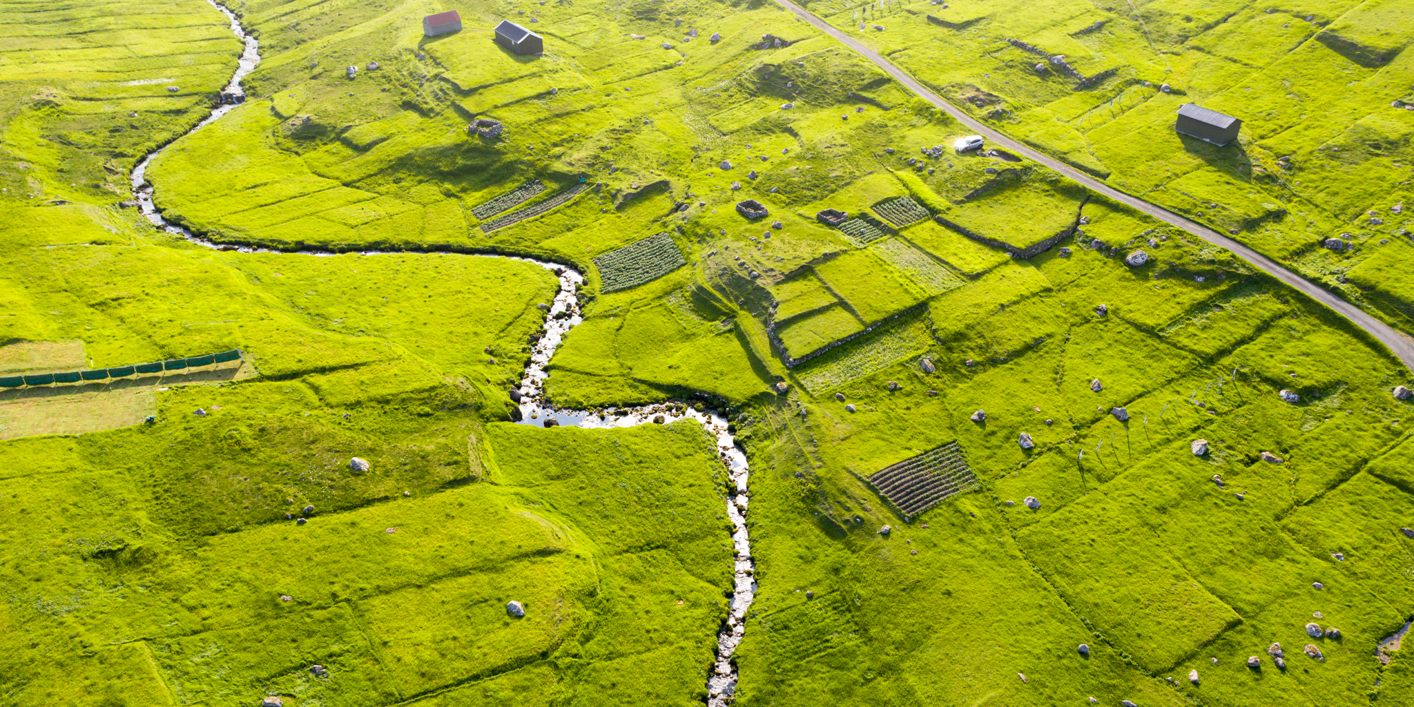 Exploring the FarOes