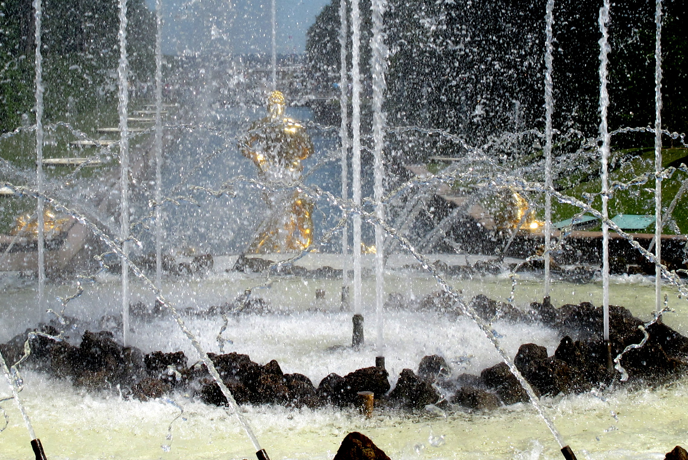 Acqua (Petergof, Russia)