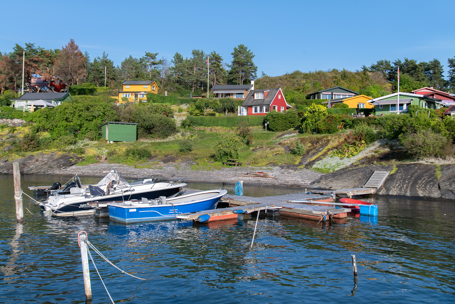 Norvegia