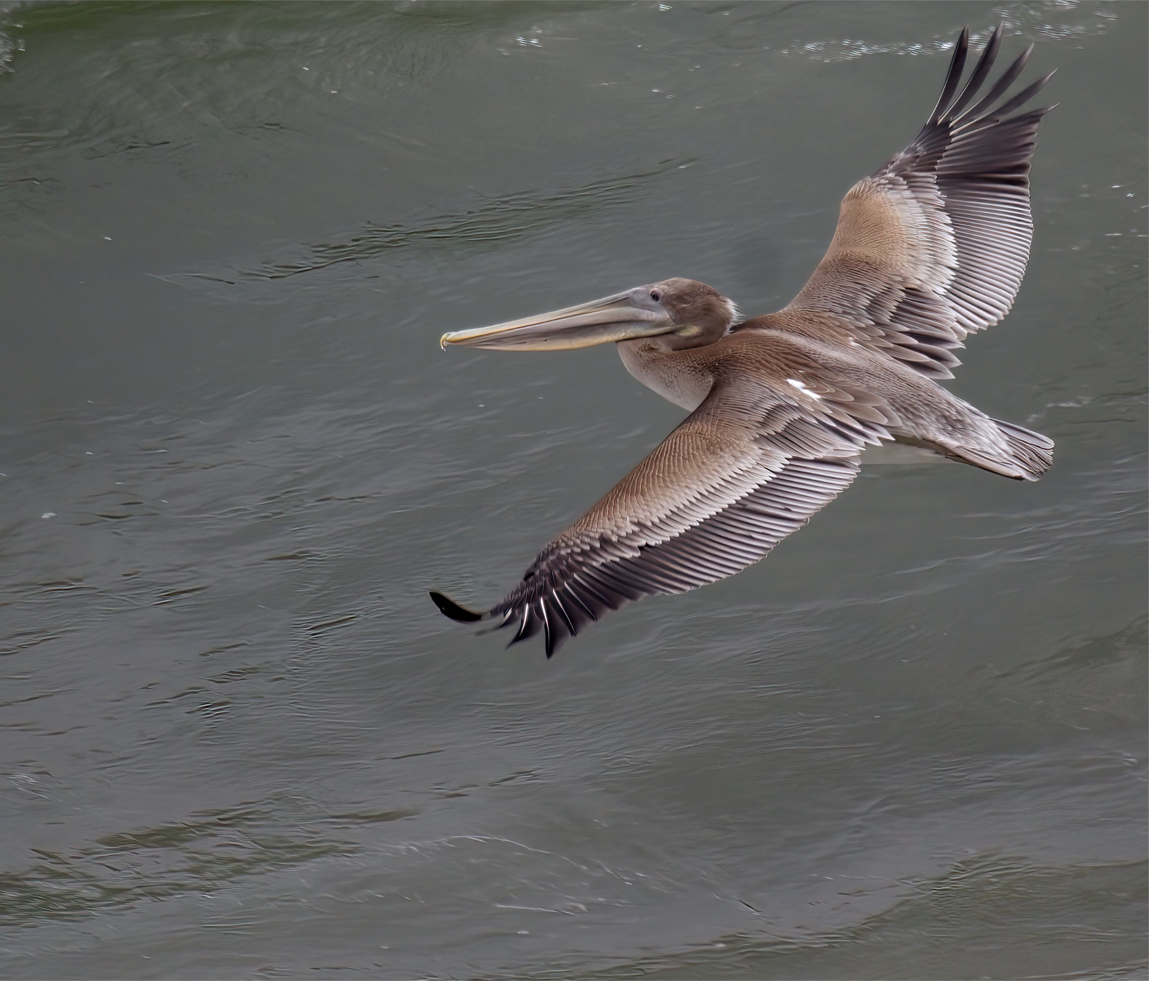 Almost Perfect order of fethers