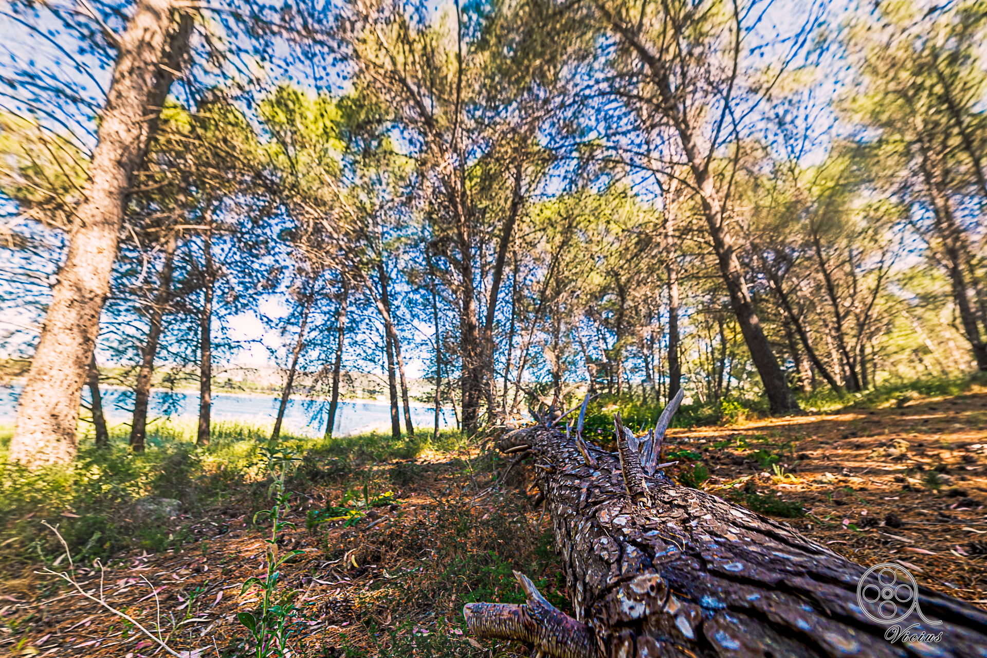 Tra la natura selvaggia