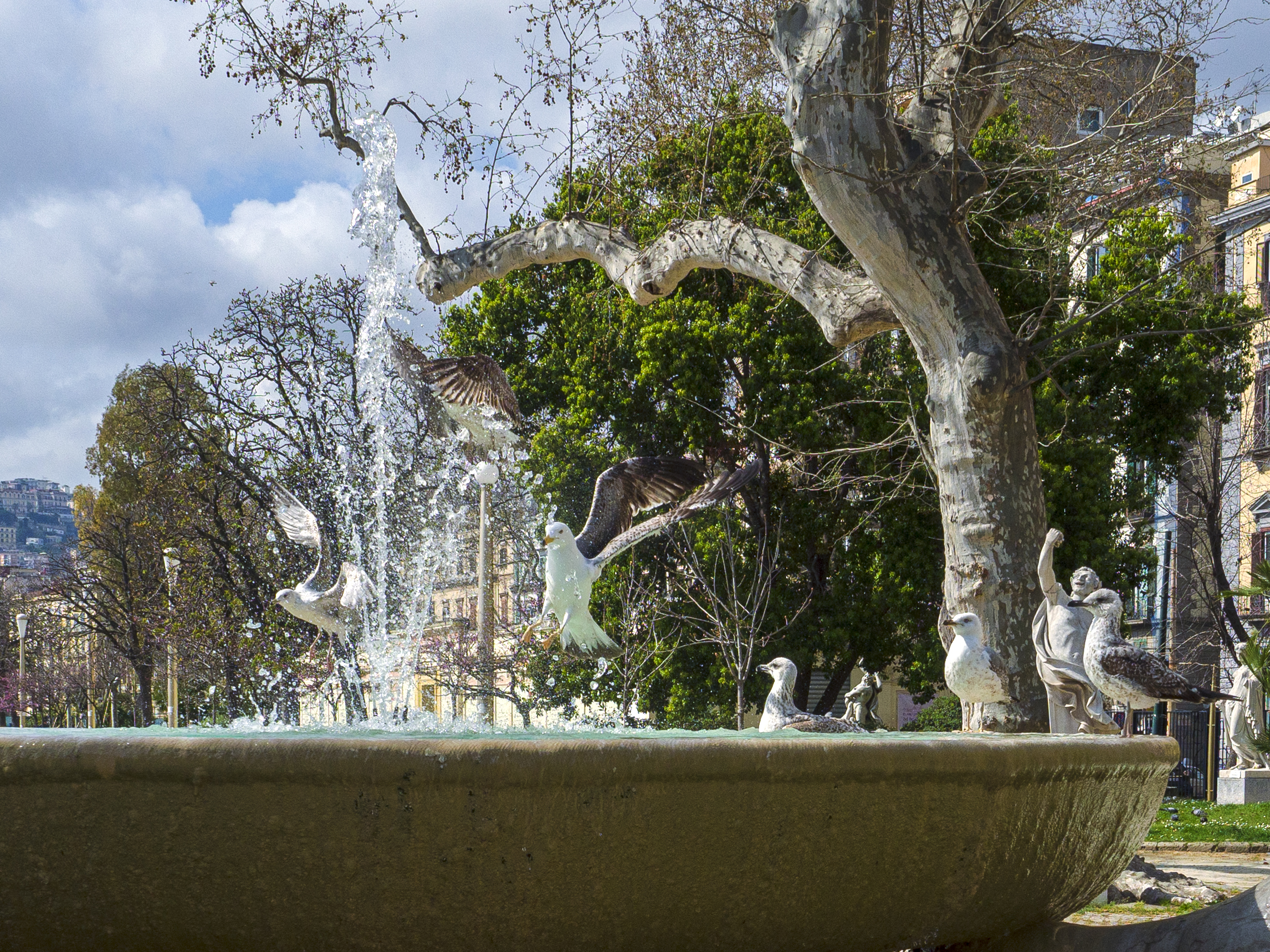 Make way for us to "land"...