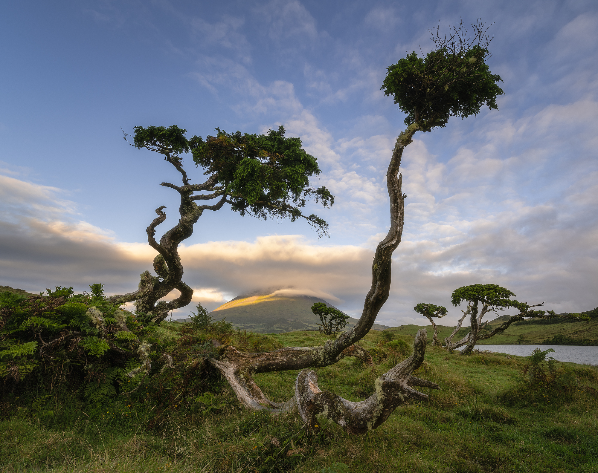 Le sentinelle di Pico