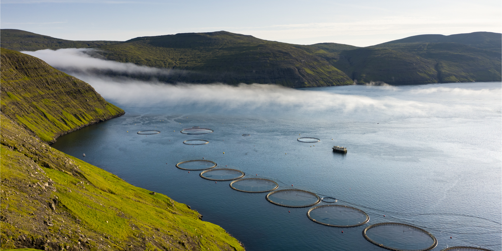 Exploring the FarOe