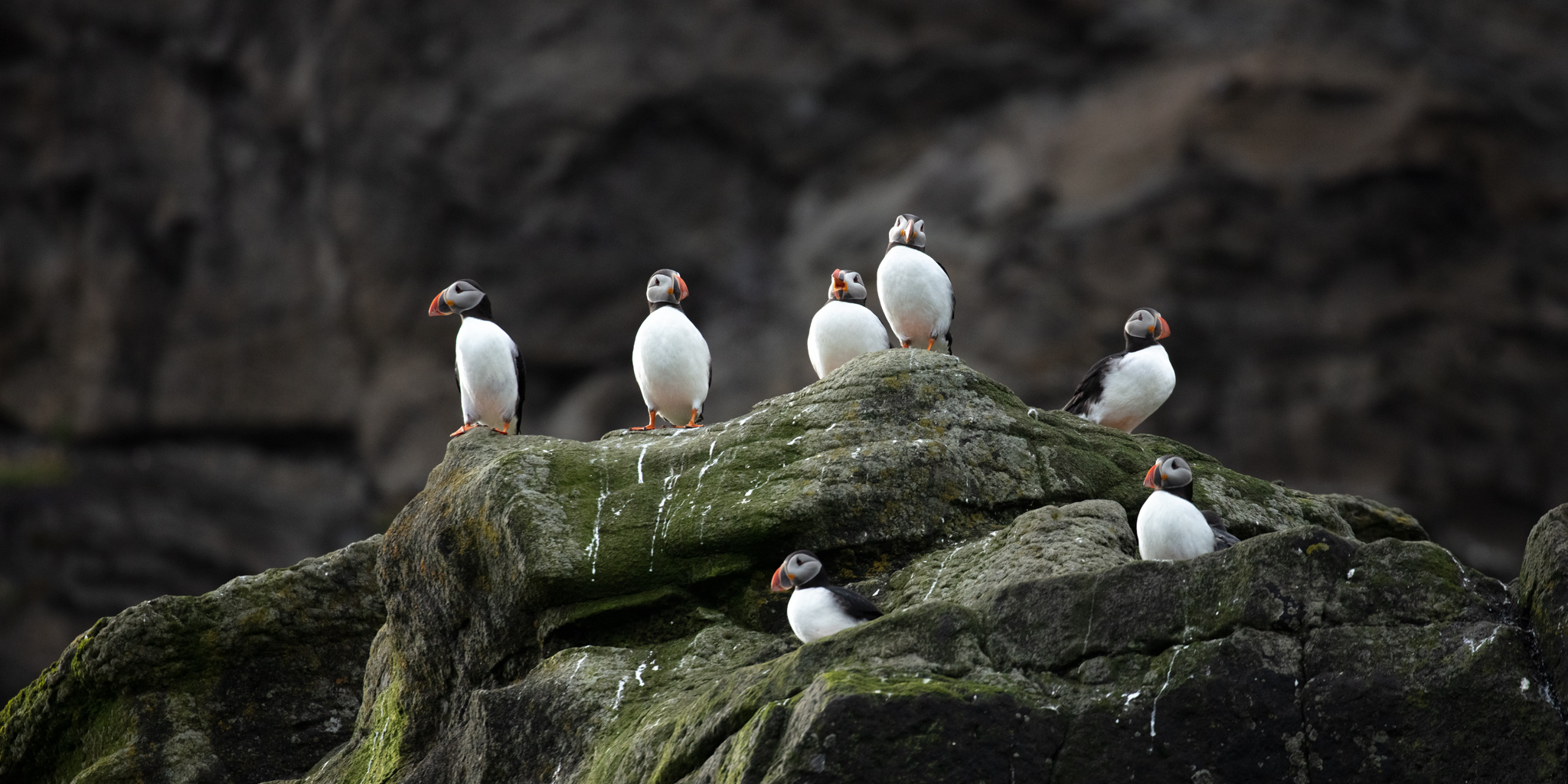 Exploring the FarOe