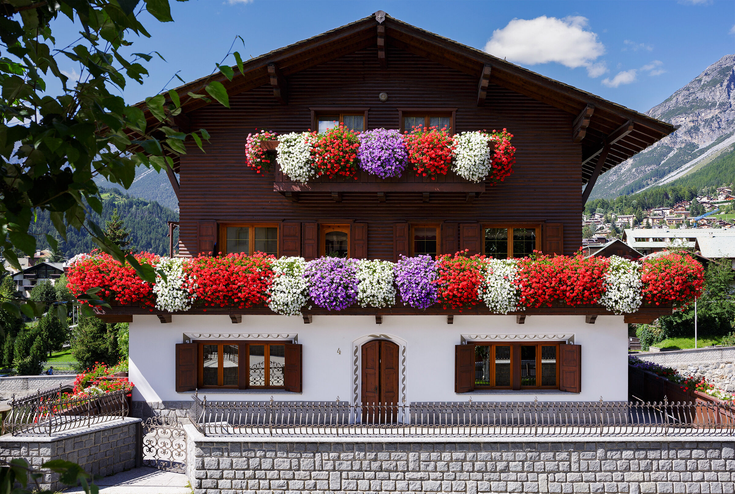 A flower of the house