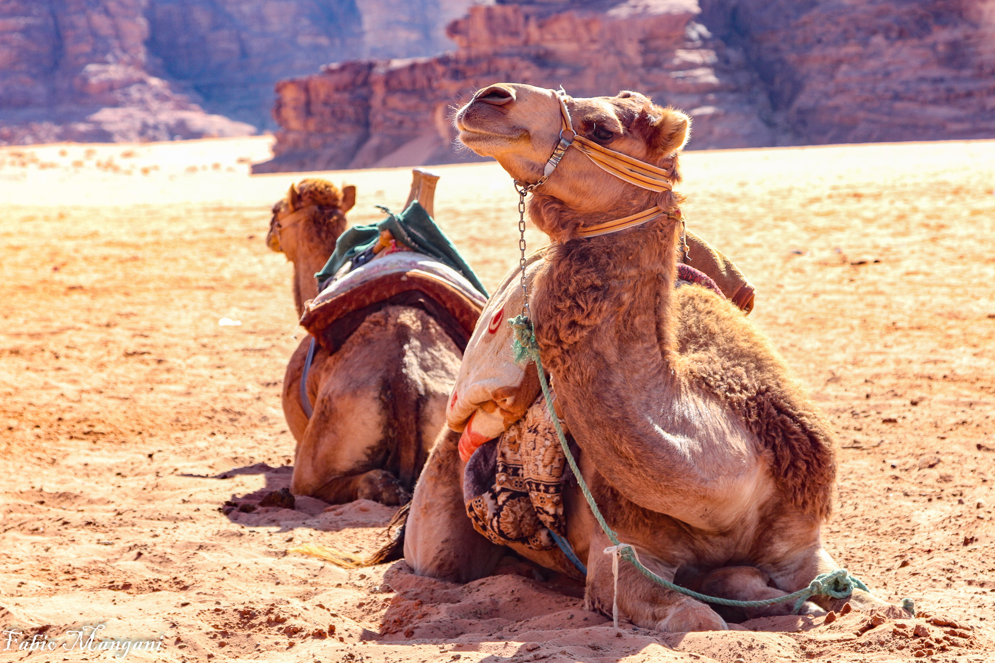 ......senza titolo.......