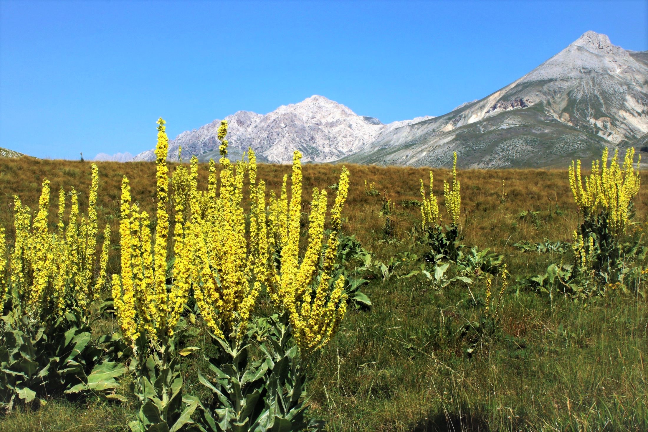 Il giallo di Campo Imperatore