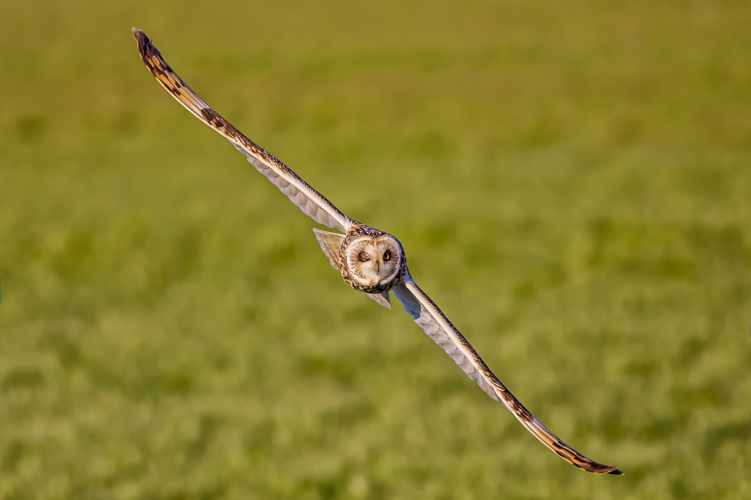 occhiolino al fotografo?
