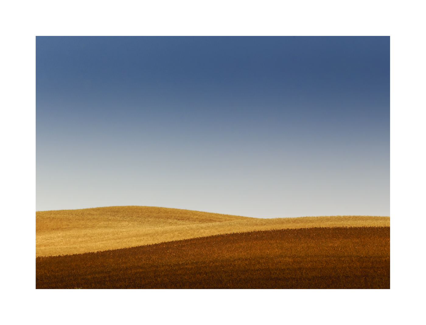 county