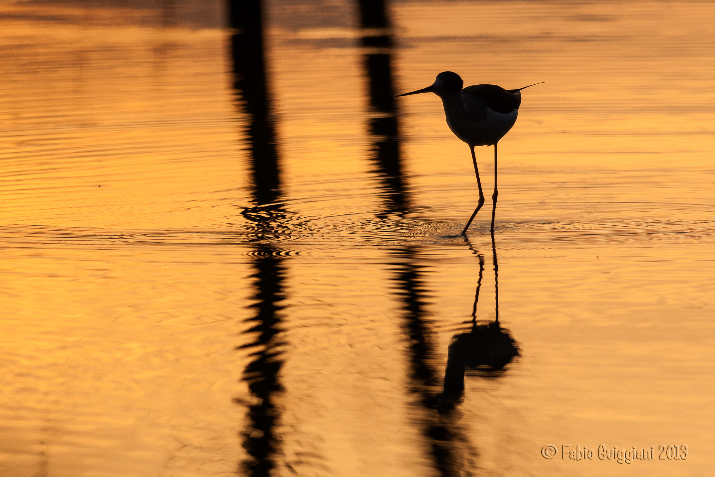 Into the golden hour
