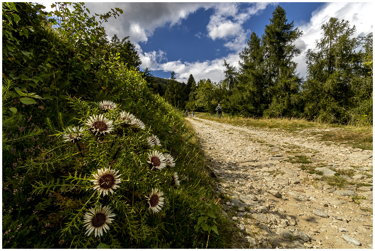 on the paths of Val Trompia (BS)