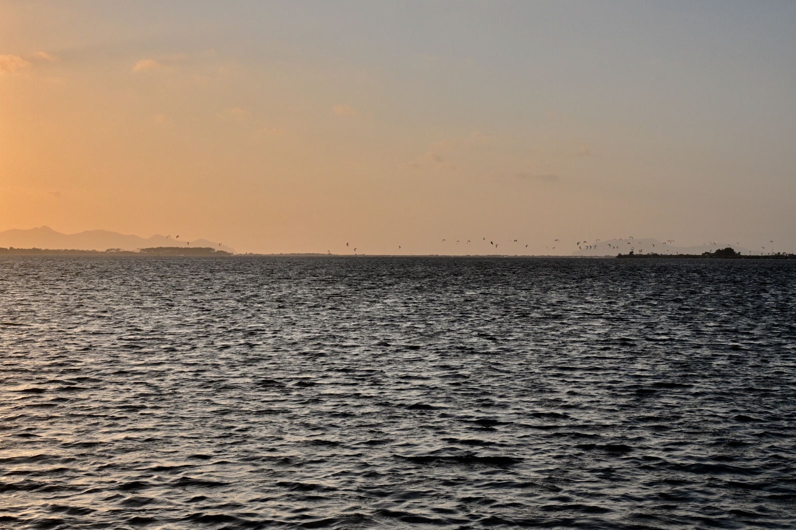 Flock of Kyte at sunset
