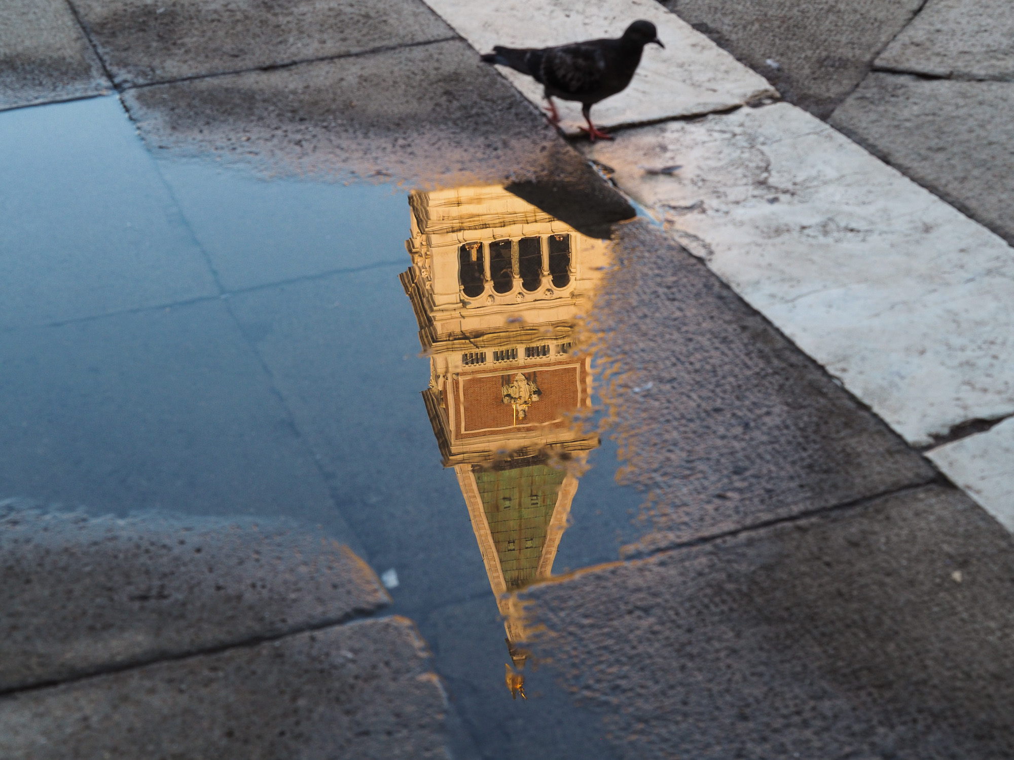 Venetian reflections