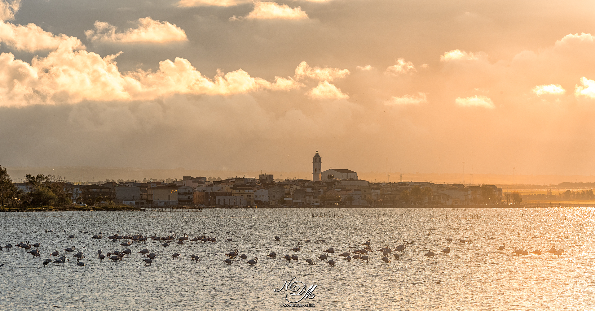 Lago di Lesina...Oasi di bellezza