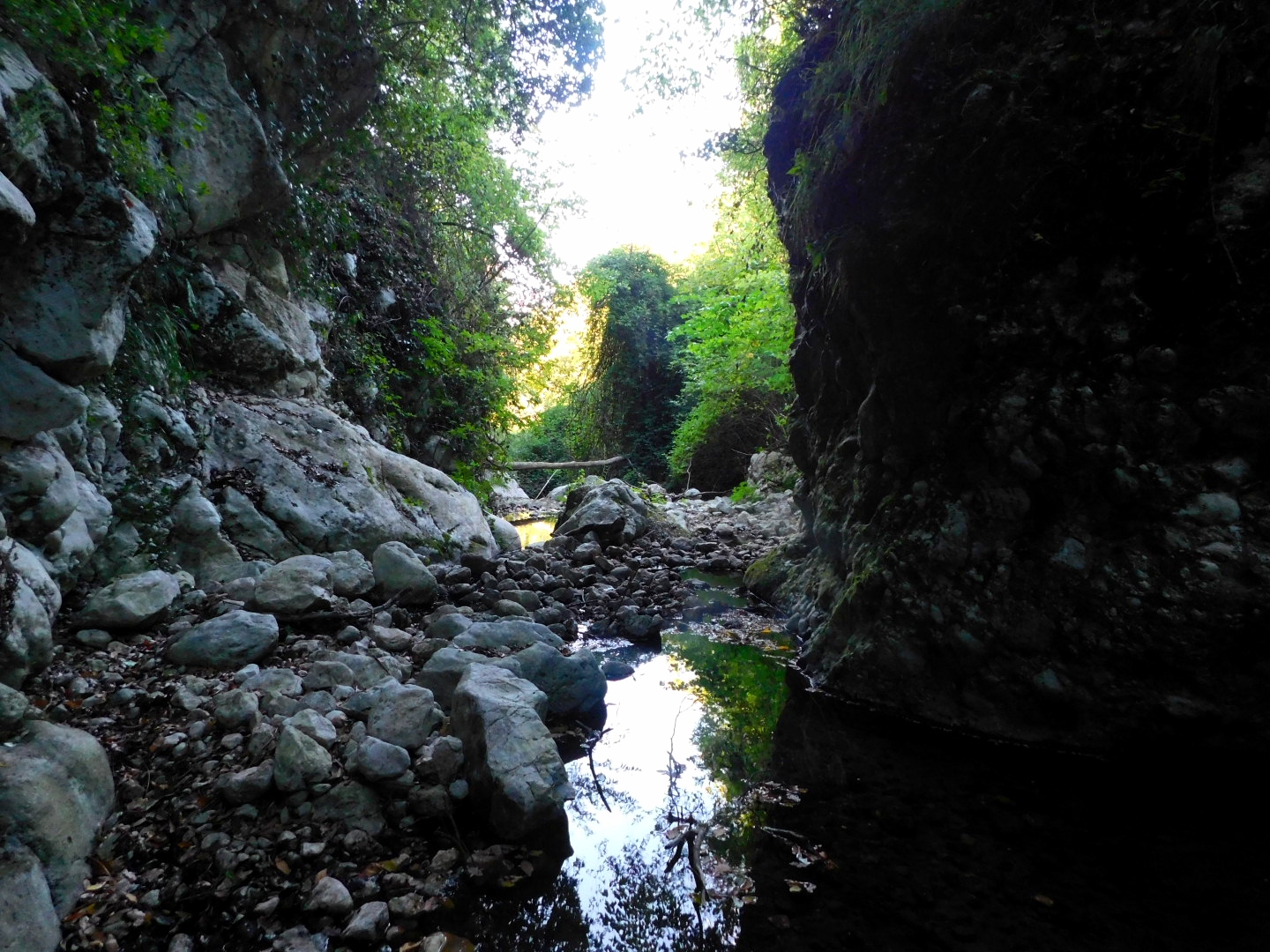 Untitled Photo