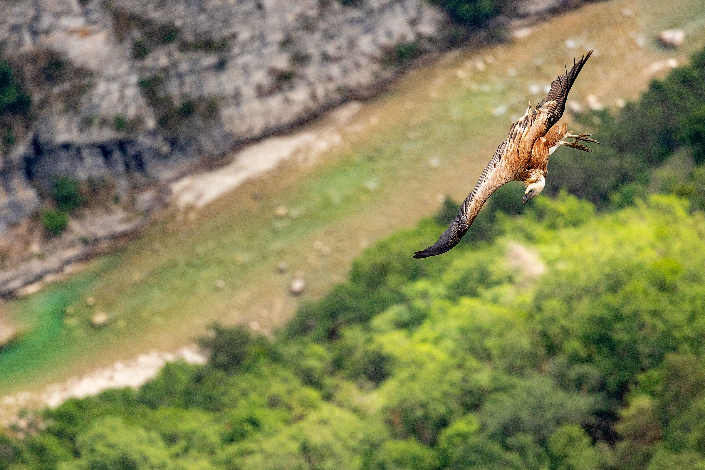 Flying between the gorges