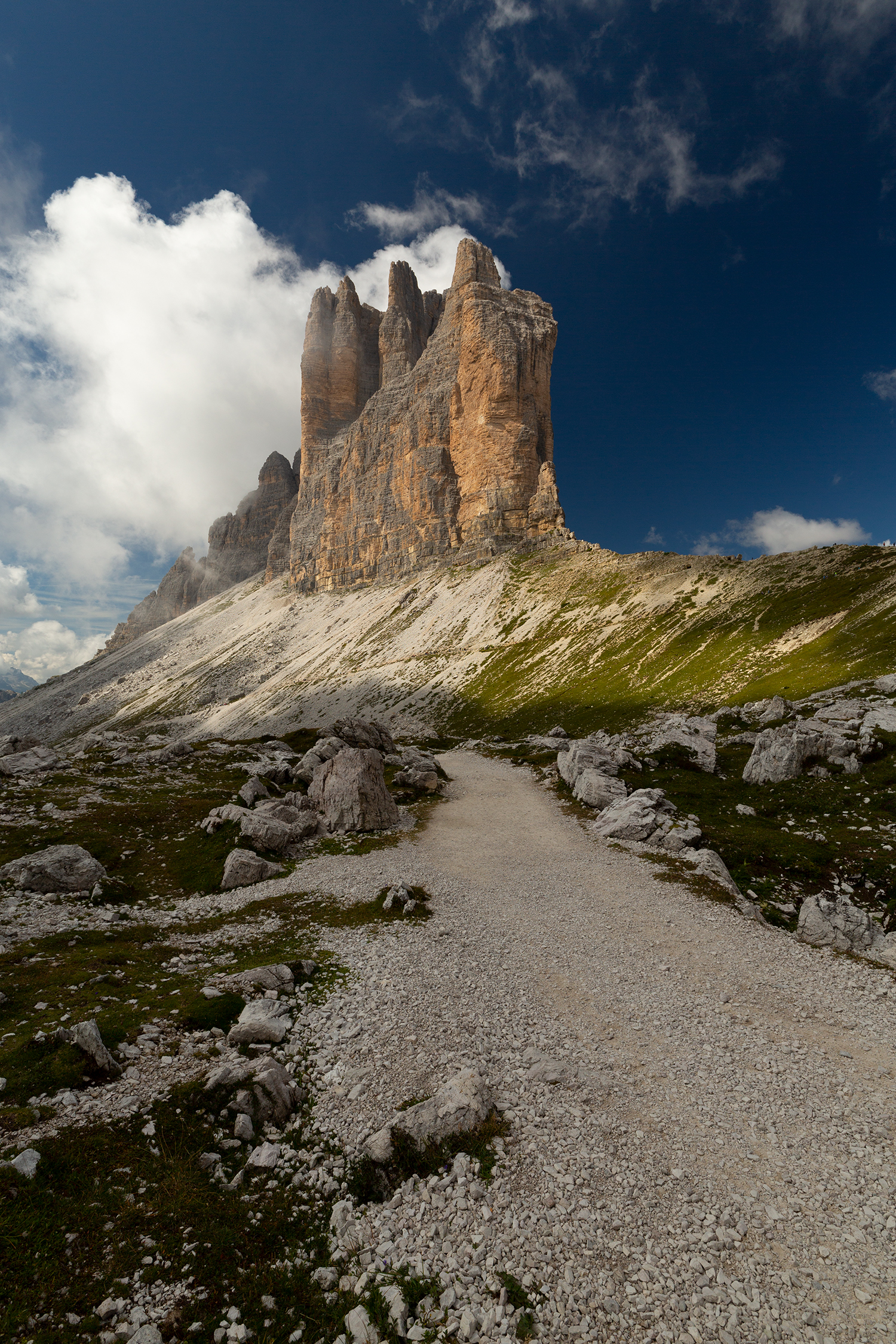 Al centro della scena da 228 milioni di anni