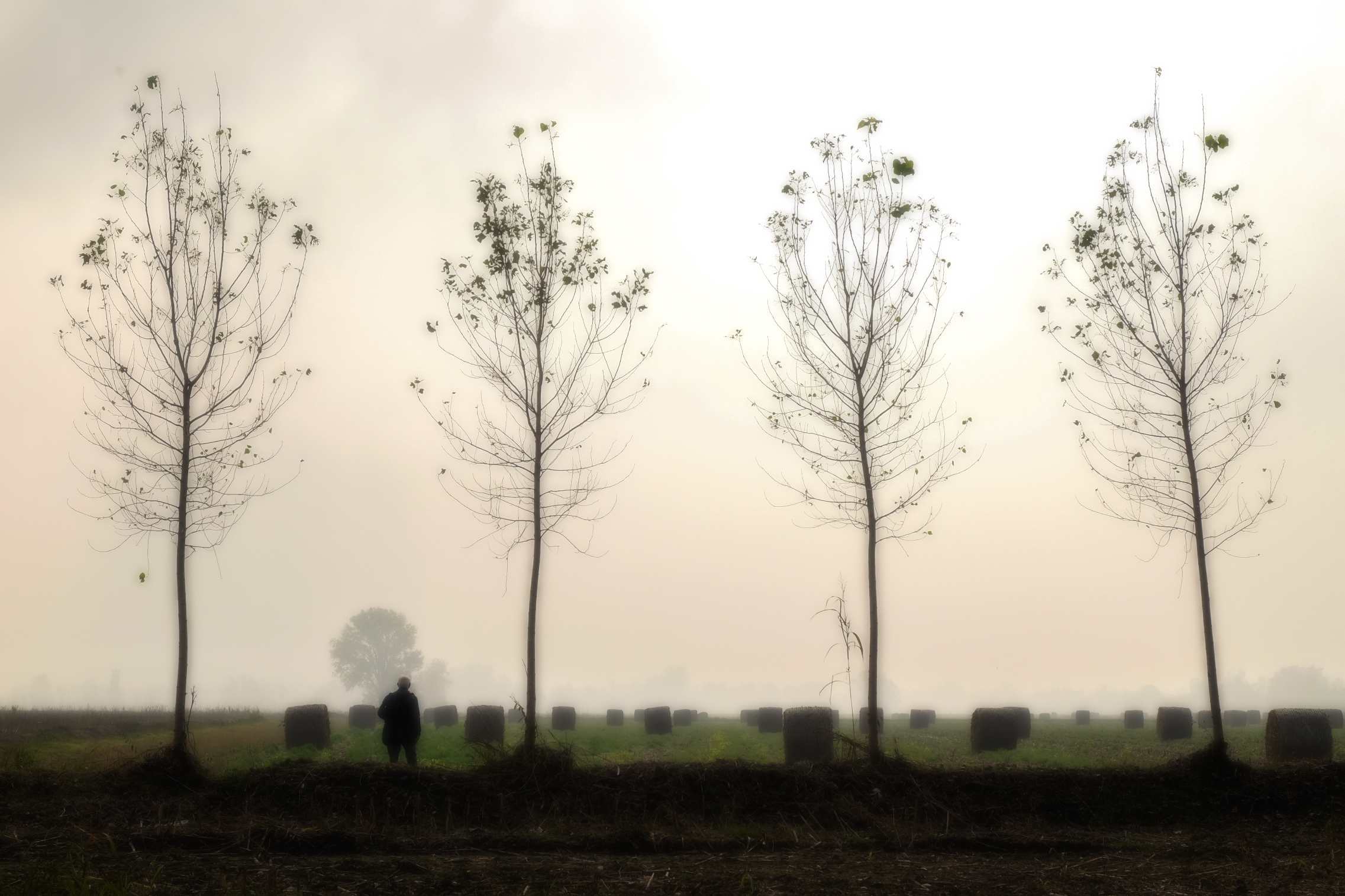 loneliness