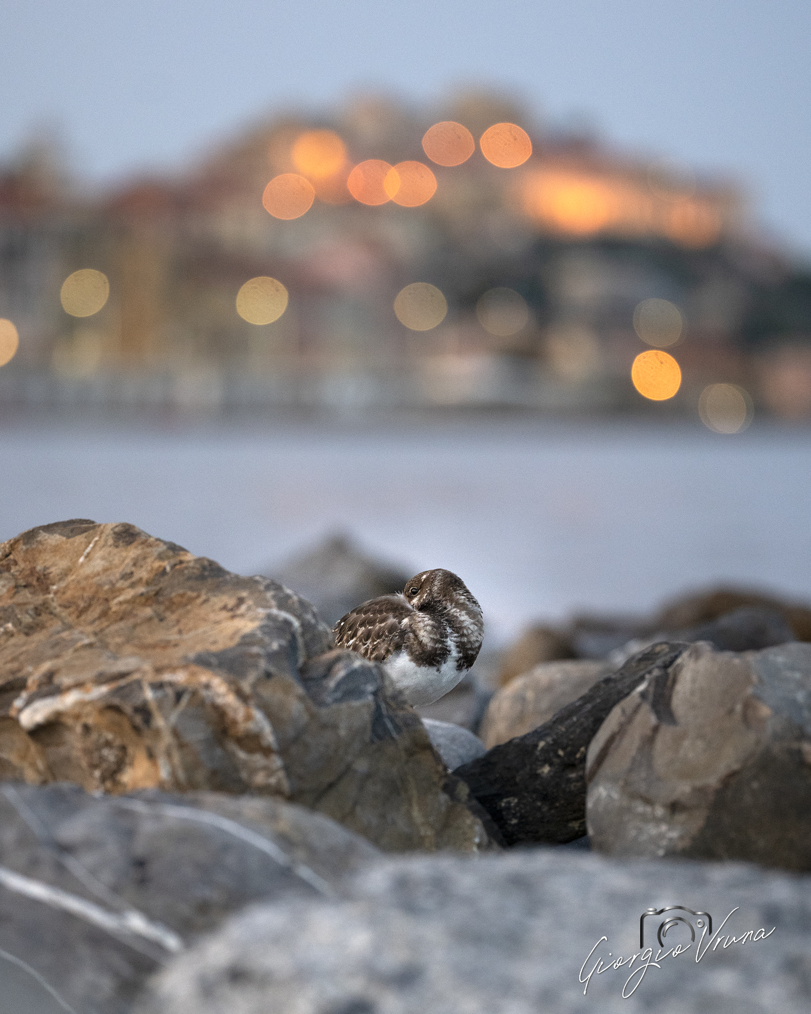 Camera vista mare... (Voltapietre)