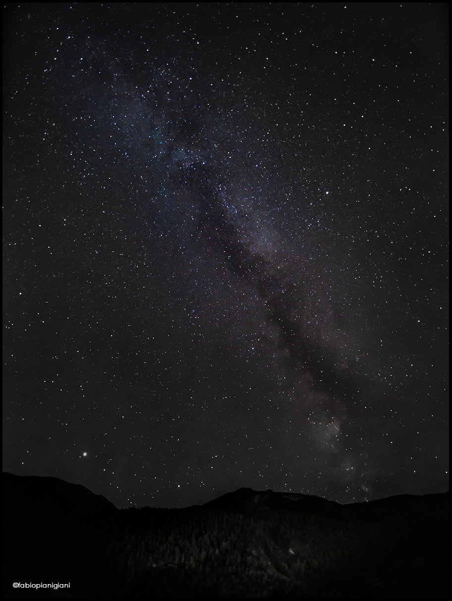 In the woods at night