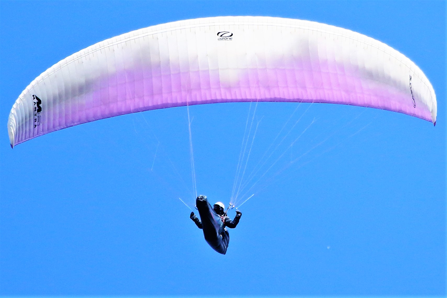 Paraglider