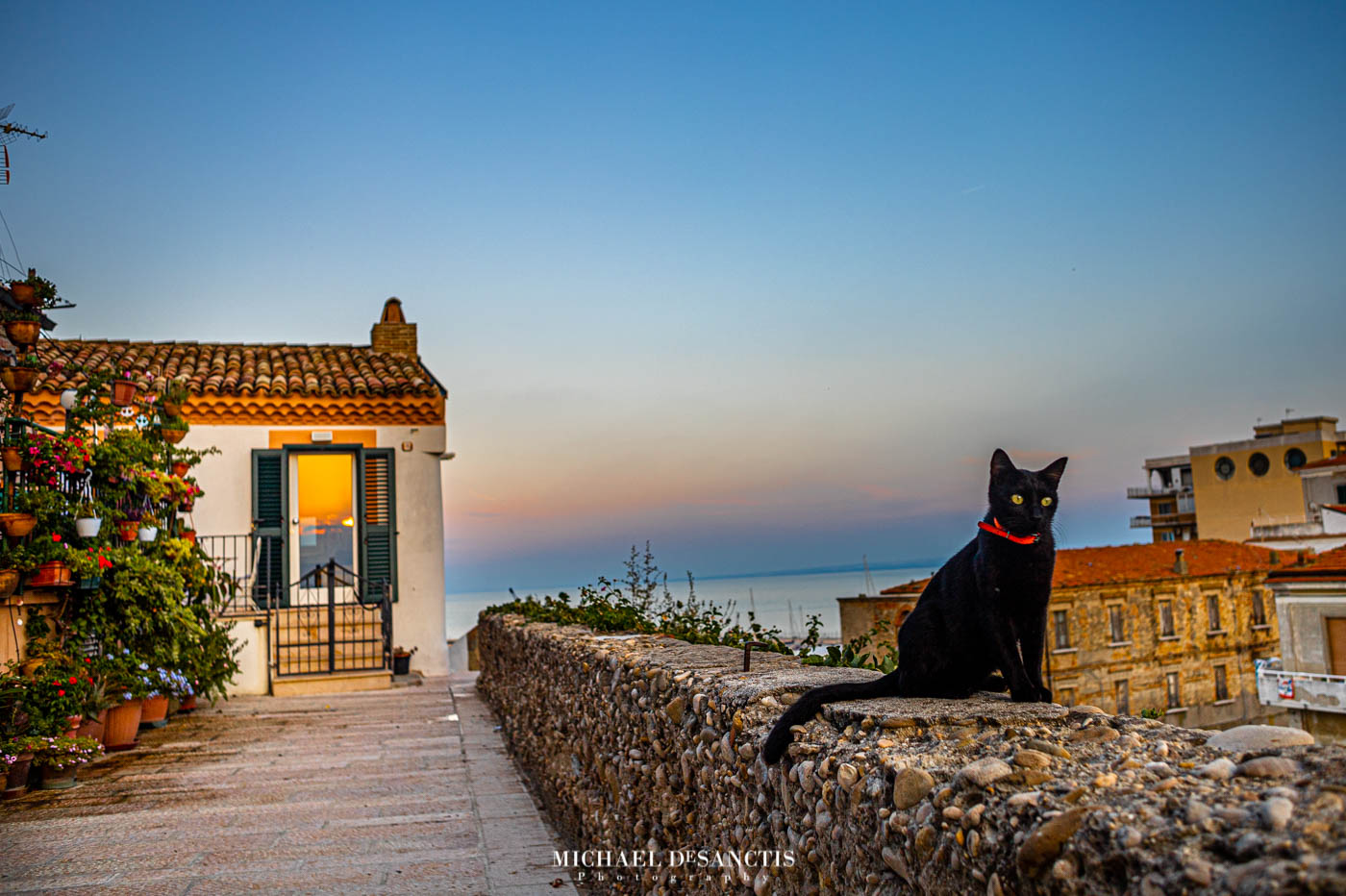 The Prince of Montecastello