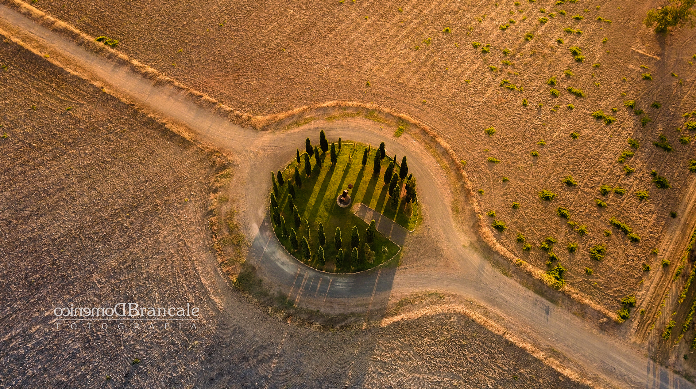 the cypresses of the miners