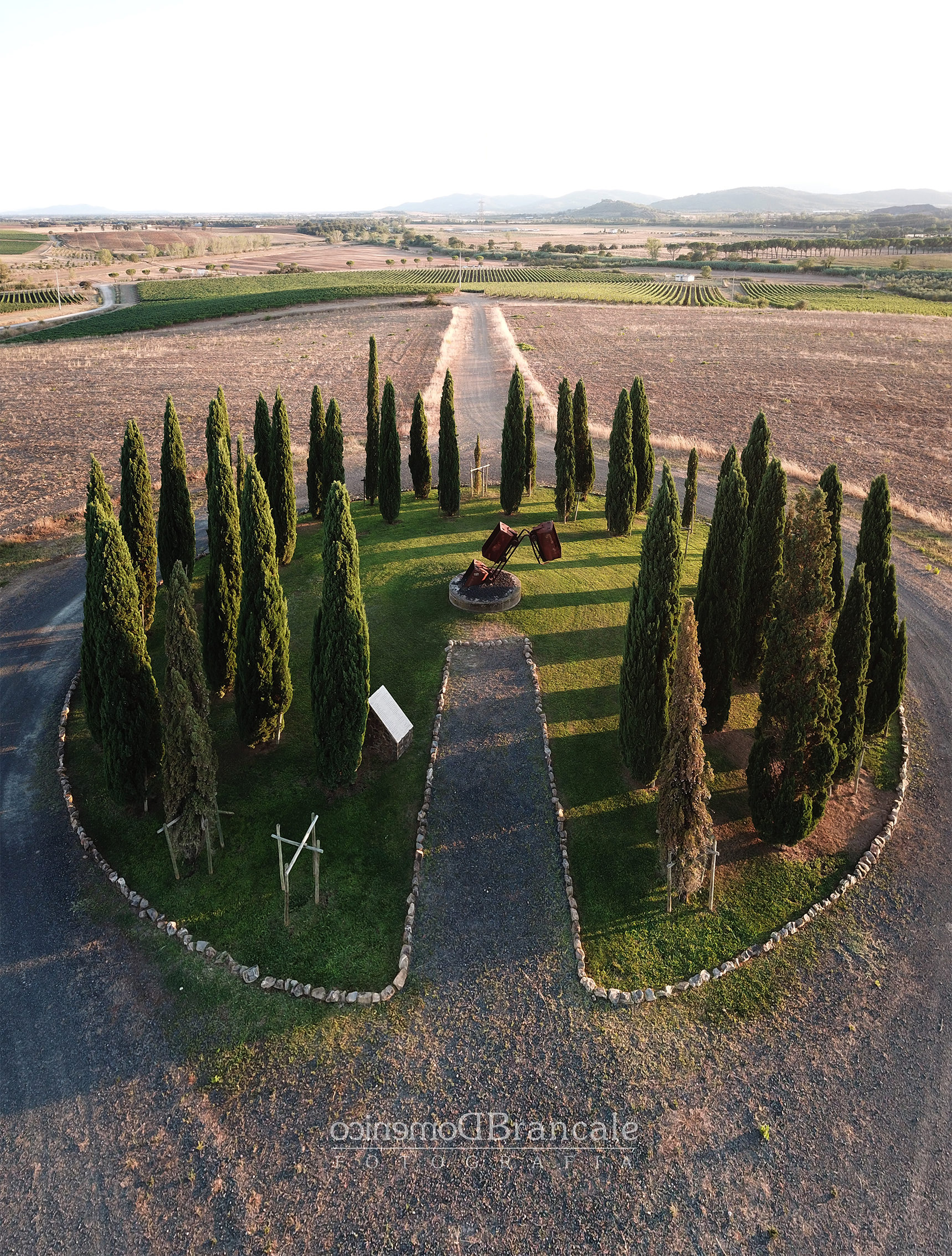 the cypresses of the miners