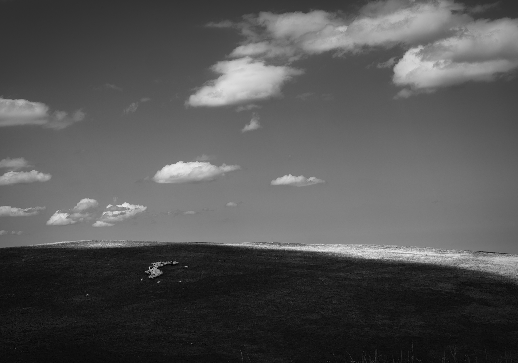 Pasture on the Sibillini