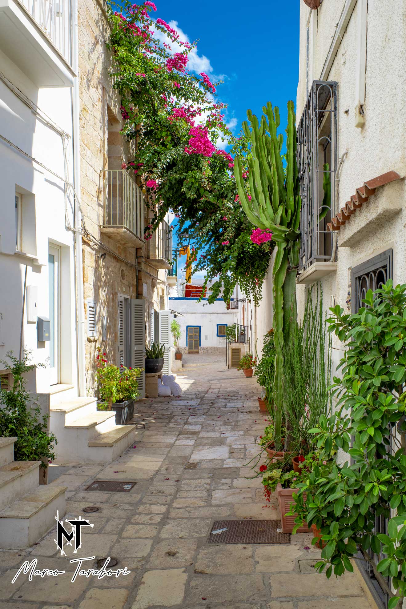 Polignano a mare