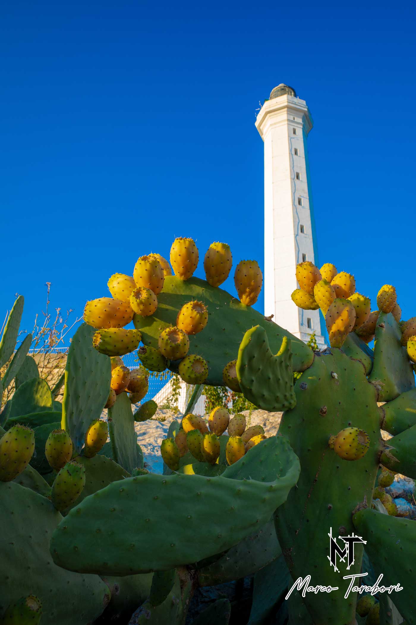 Faro Santa Maria di Leuca